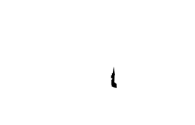 Dark Support